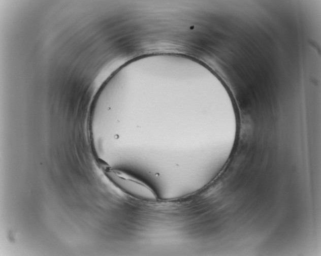 X0000098131293200805151106
