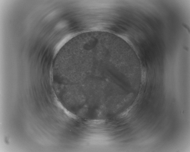 X0000098131294200805151106
