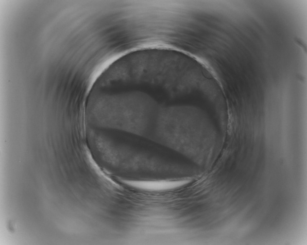 X0000098131295200805151106
