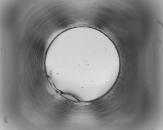X0000098131296200805151106