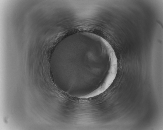 X0000098131297200805151106