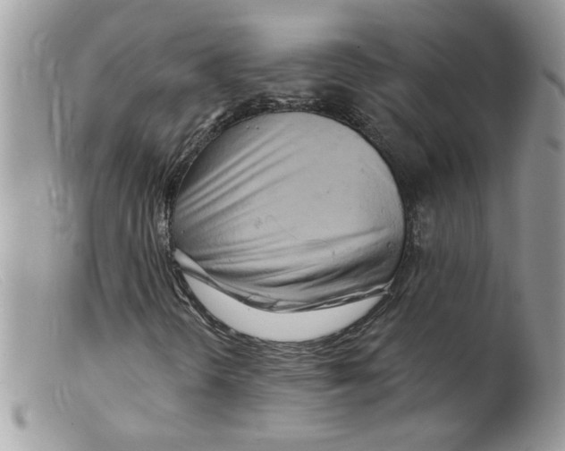X0000098131298200805151106