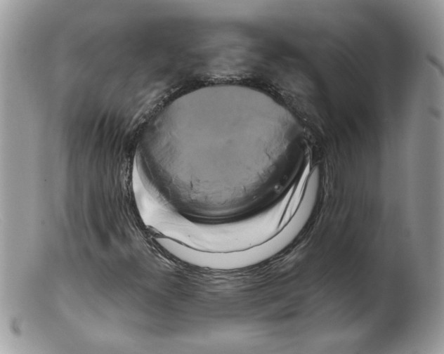 X0000098131300200805151106