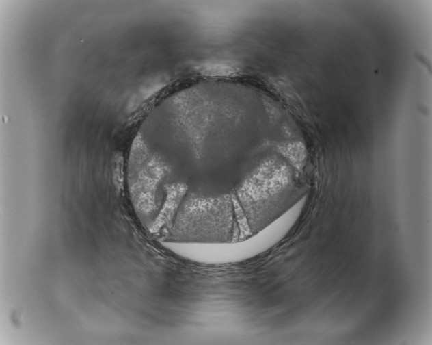 X0000098131301200805151106