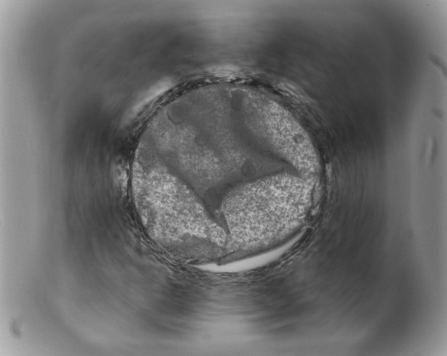 X0000098131302200805151106