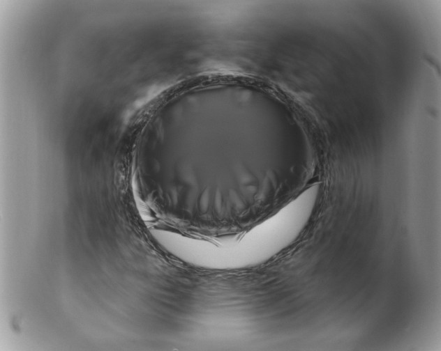 X0000098131303200805151106