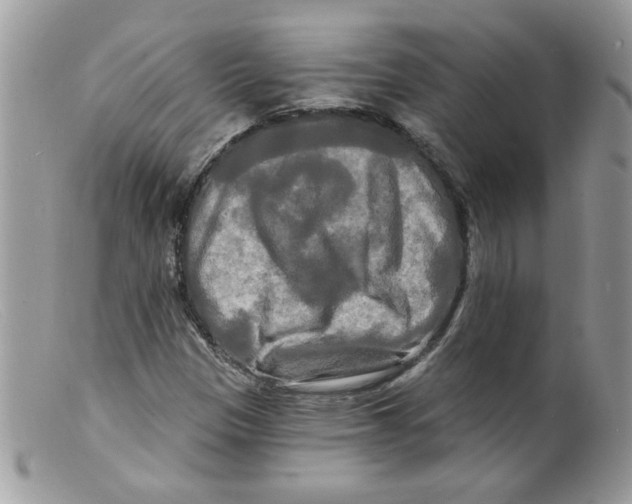 X0000098131305200805151106