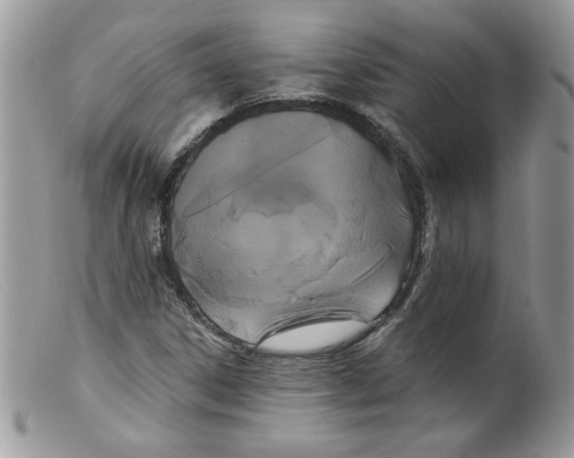 X0000098131306200805151106