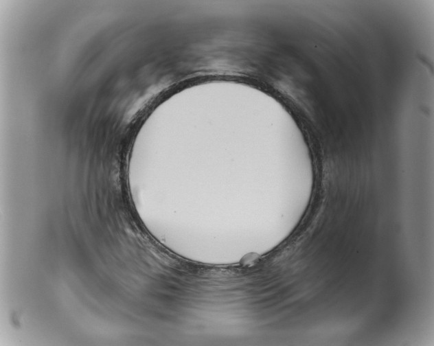X0000098131307200805151106