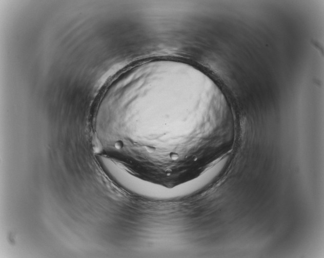 X0000098131308200805151106