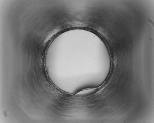 X0000098131309200805151106