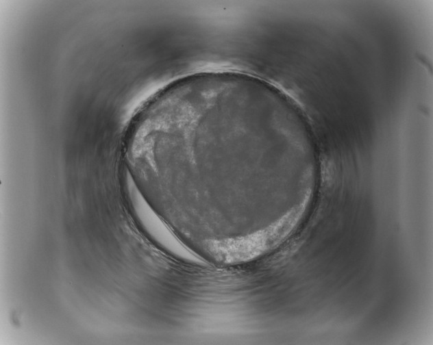 X0000098131311200805151106