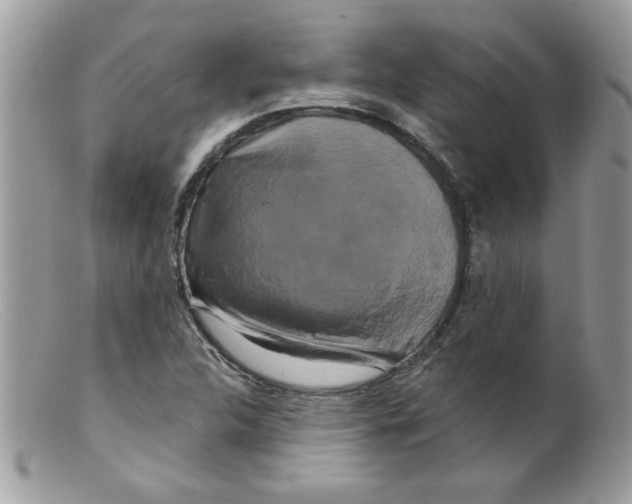 X0000098131312200805151106