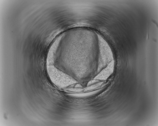 X0000098131313200805151106