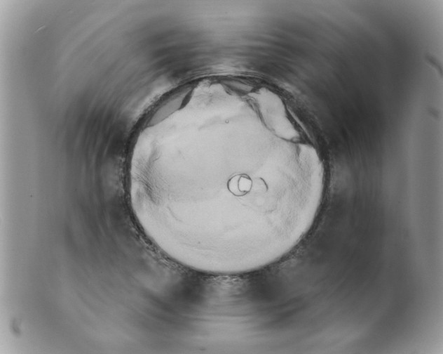 X0000098131314200805151106