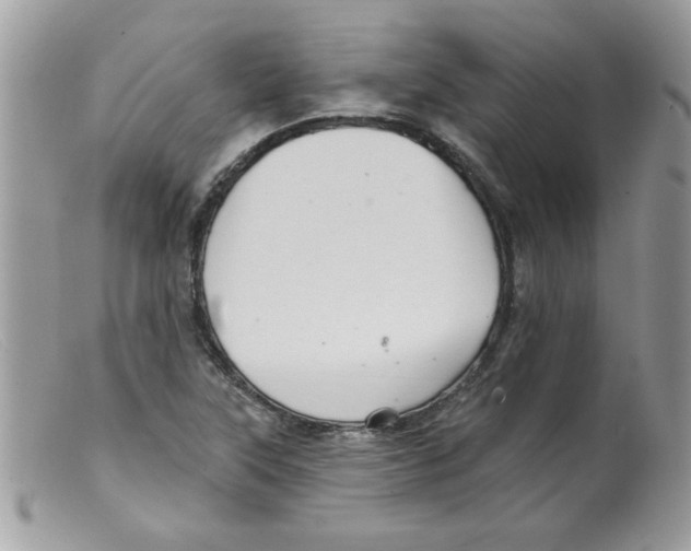 X0000098131315200805151106