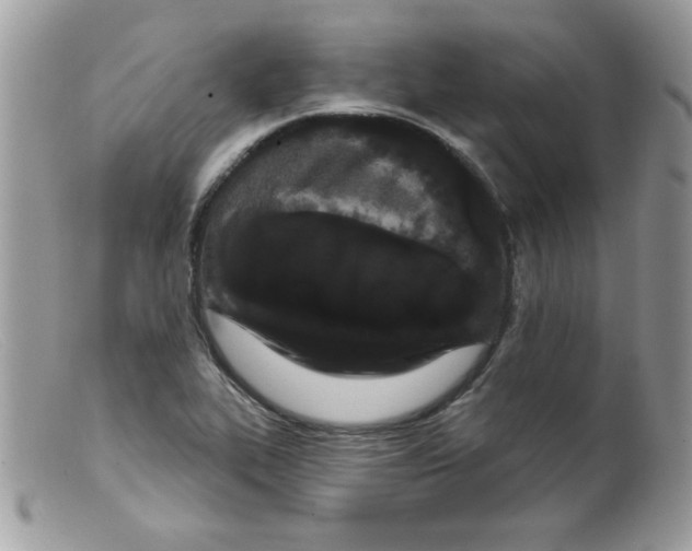X0000098131319200805151106
