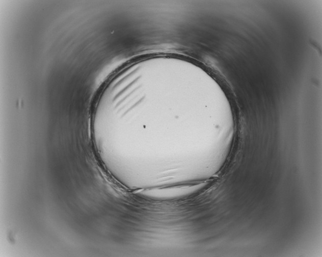 X0000098131320200805151106