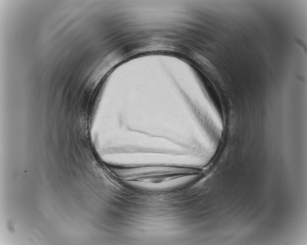 X0000098131321200805151106