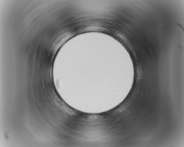 X0000098131322200805151106