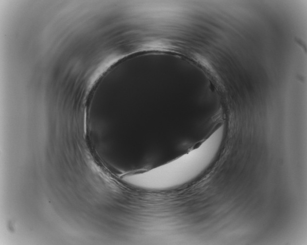 X0000098131323200805151106