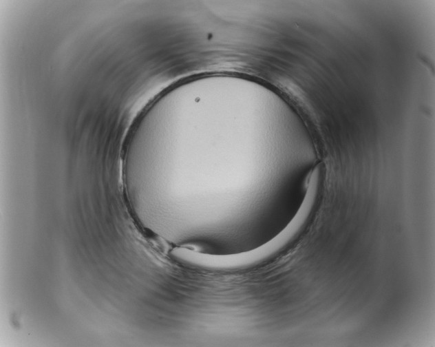 X0000098131324200805151106