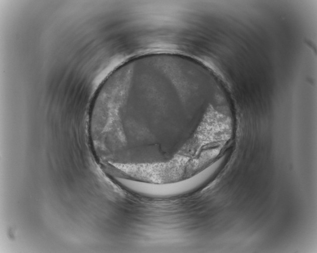 X0000098131325200805151106