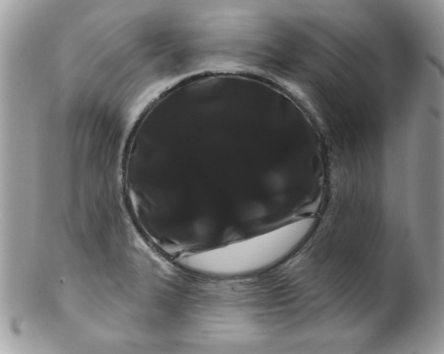 X0000098131327200805151106