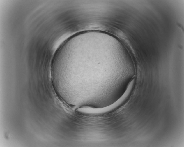 X0000098131328200805151106