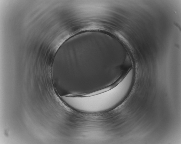 X0000098131329200805151106
