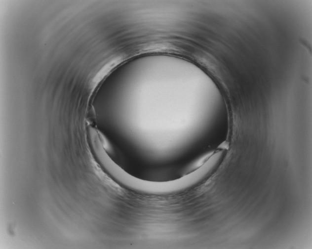 X0000098131330200805151106