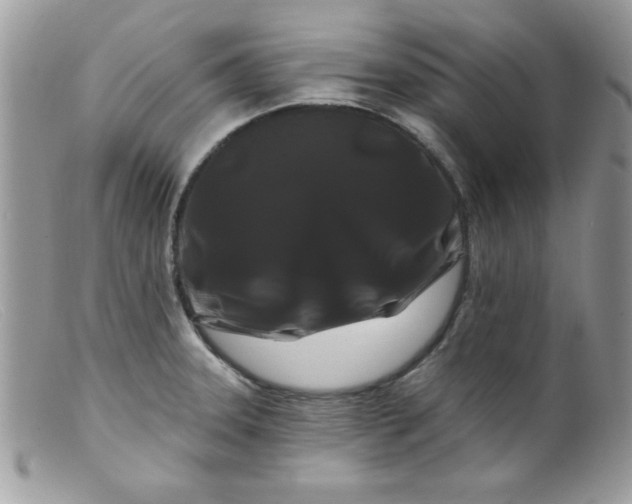X0000098131331200805151106