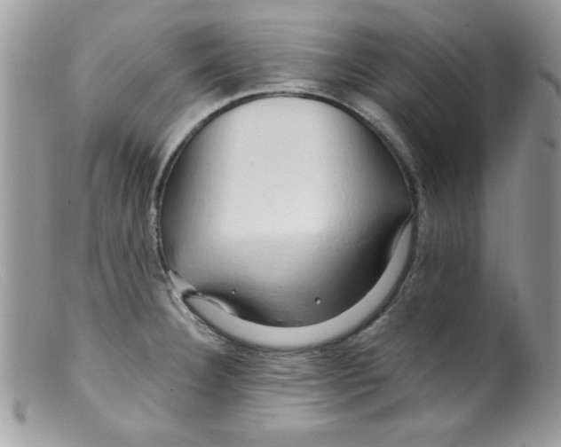 X0000098131332200805151106