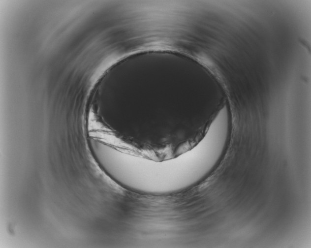 X0000098131334200805151106