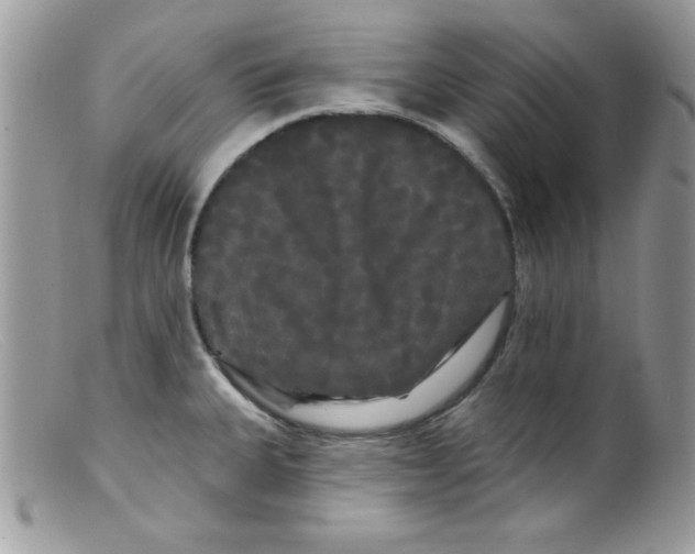 X0000098131335200805151106