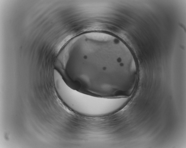 X0000098131337200805151106