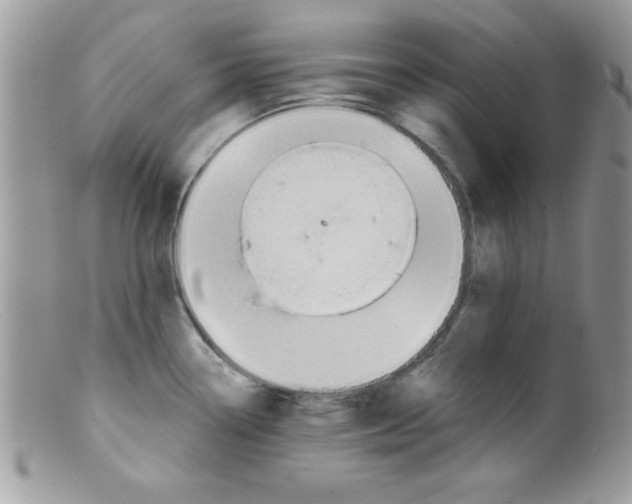 X0000098131338200805151106