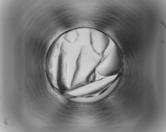 X0000098131339200805151106
