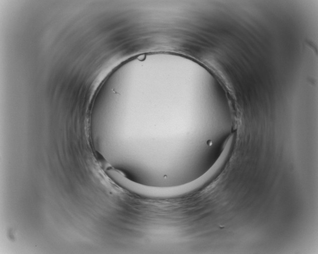 X0000098131340200805151106