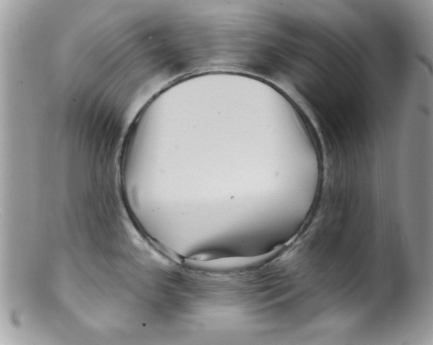 X0000098131341200805151106