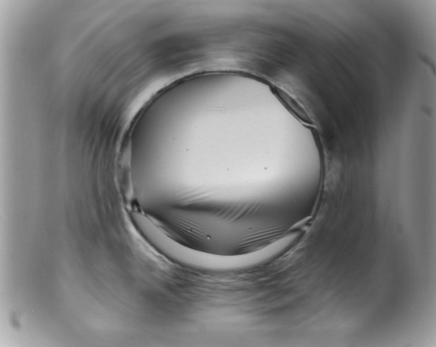 X0000098131342200805151106