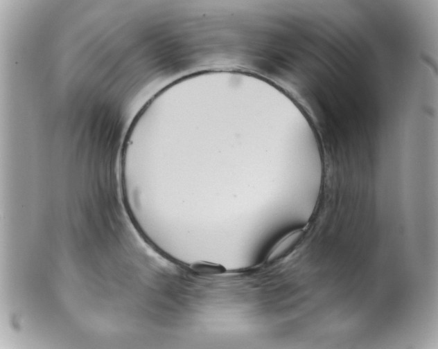 X0000098131343200805151106