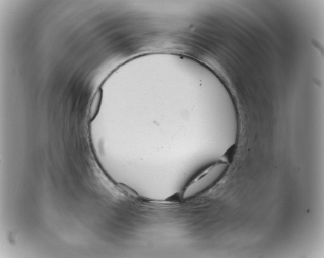 X0000098131344200805151106