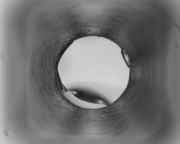 X0000098131345200805151106