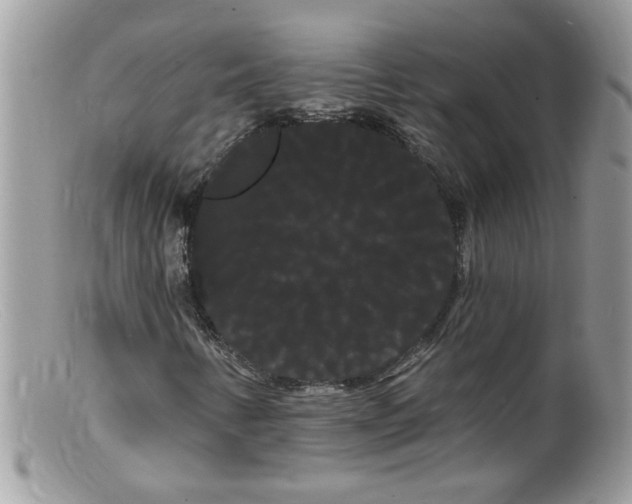 X0000098131346200805151105
