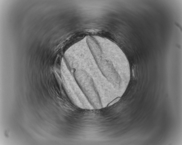 X0000098131347200805151105