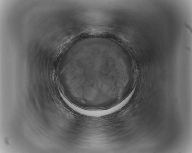 X0000098131348200805151105