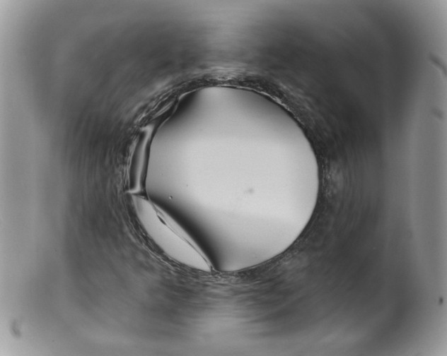 X0000098131349200805151105