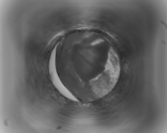 X0000098131351200805151105