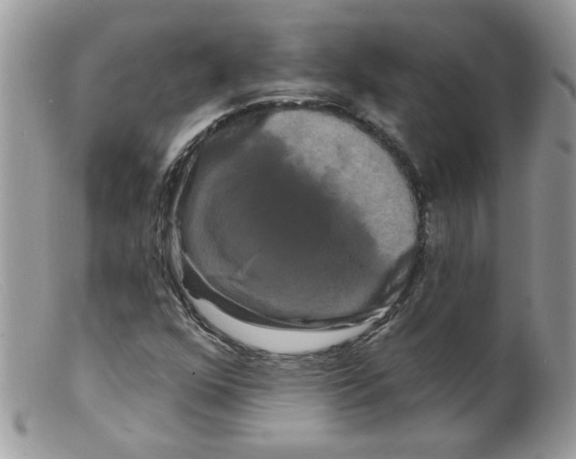 X0000098131352200805151105